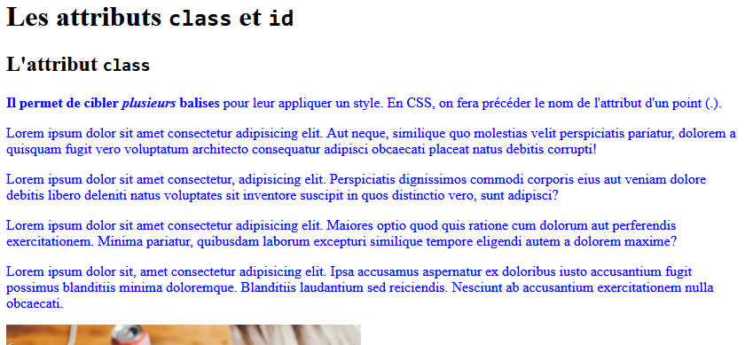 capture d'écran